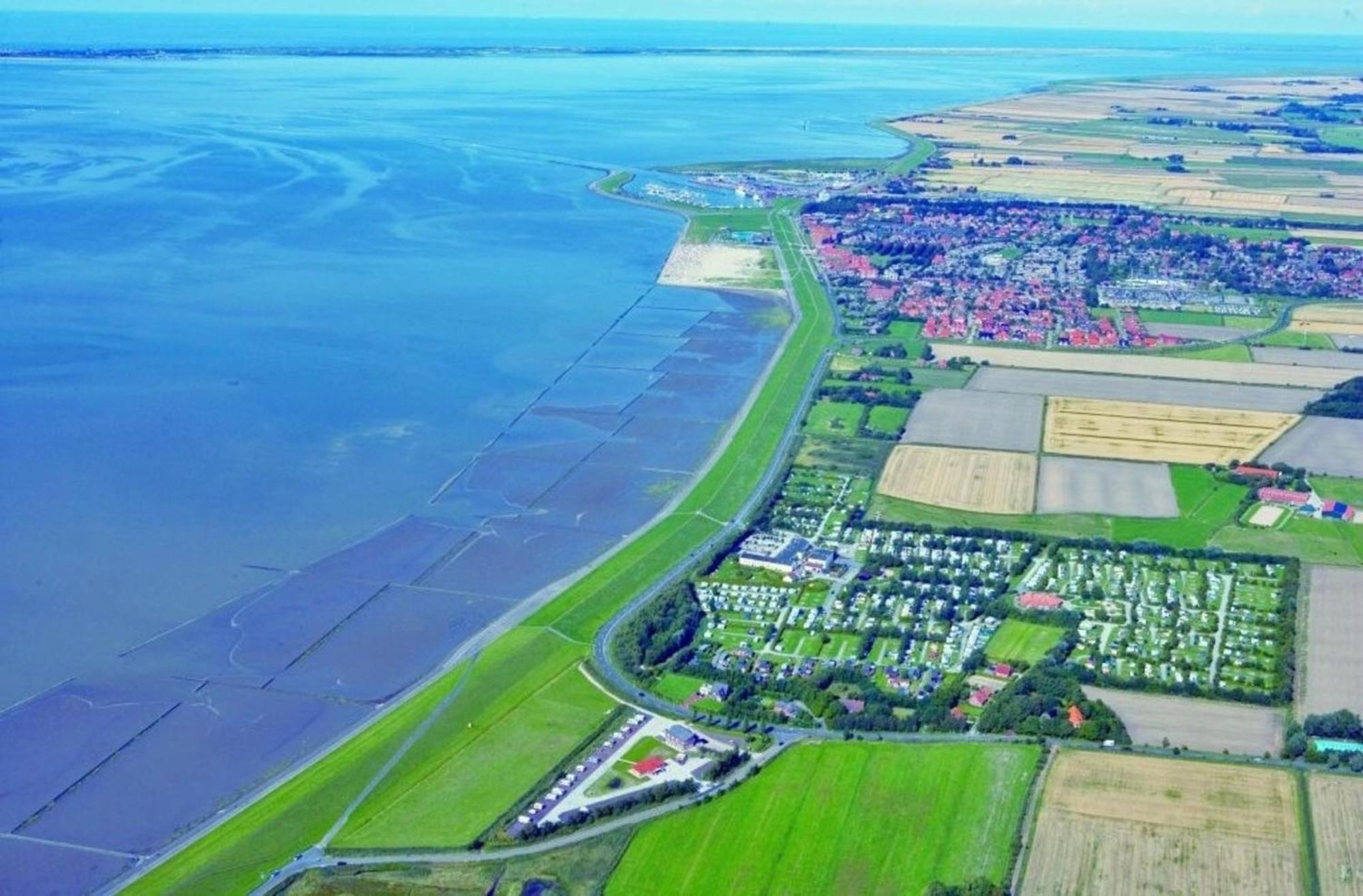 Kleine Nordseewelle Ohne Hund Norden Εξωτερικό φωτογραφία